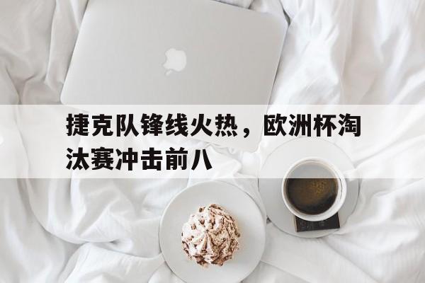 捷克队锋线火热，欧洲杯淘汰赛冲击前八的简单介绍